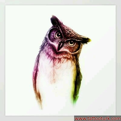 Baykuş owl bird dövme modelleri dövme desenleri tattoo desing