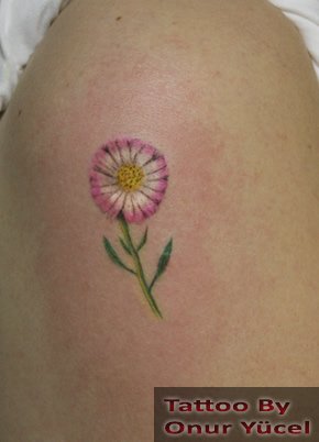 papatya dövmesi - daisy tattoo