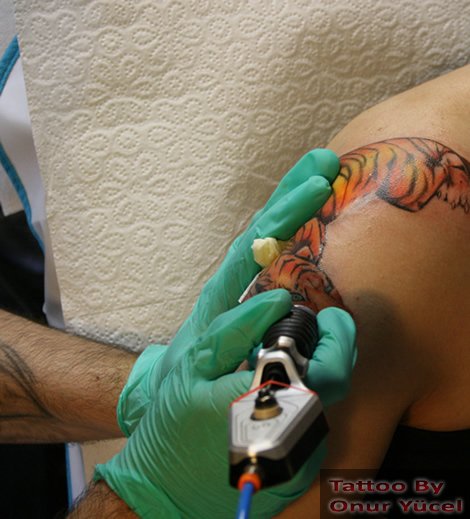 kaplan dövmesi uygulaması