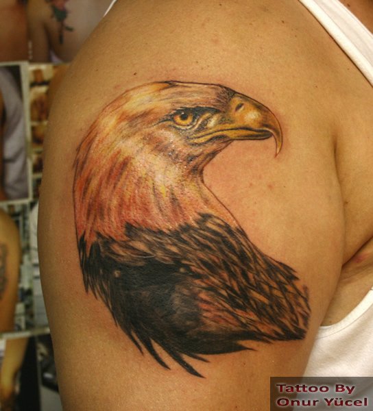 özel çizim kartal dövmesi