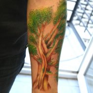 ağac dövme modeli