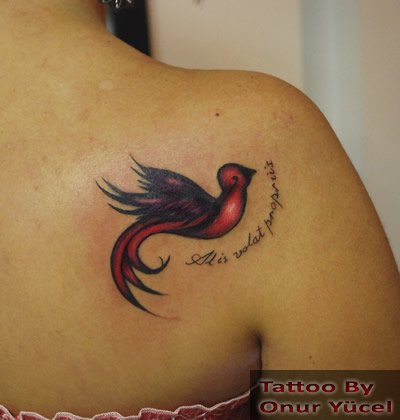 kırlangıç dövmesi