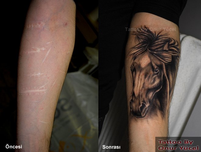 At Dövmesi - Yara izi kapatma dövme modeli