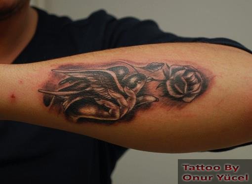 kırlangıc dövmesi