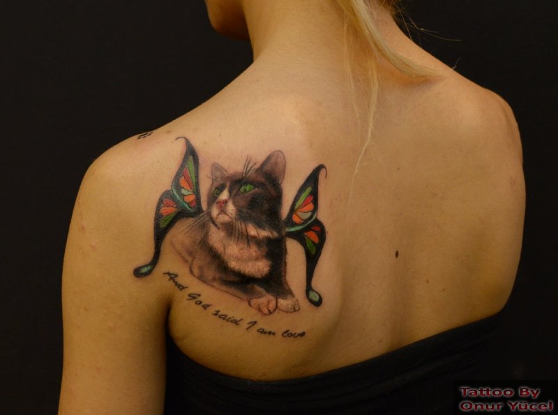 urfa kedisi fındık