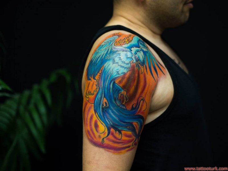 anka kuşu dövmesi cover up kapama dövme