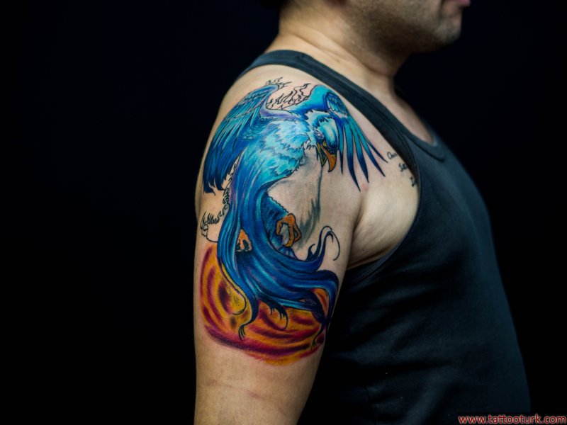 Dövme kapama yapım aşaması anka kusu phoenix tattoo cover up