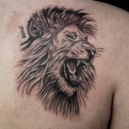Arslan dövmesi lion tattoo aslan dövme
