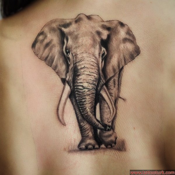 ertesi gün fotosu fil dövmesi