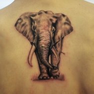 fil dövmesi dövmeleri elephant tattoo
