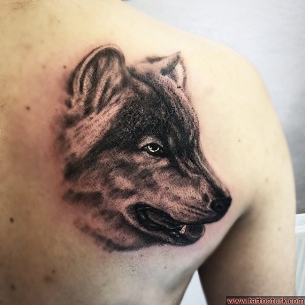 kurt dövmesi dövmeleri wolf tattoo