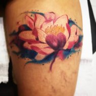 lotus dövmesi lotus tattoo
