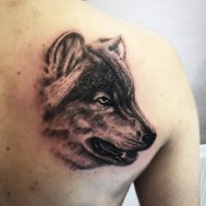 kurt dövmesi dövmeleri wolf tattoo