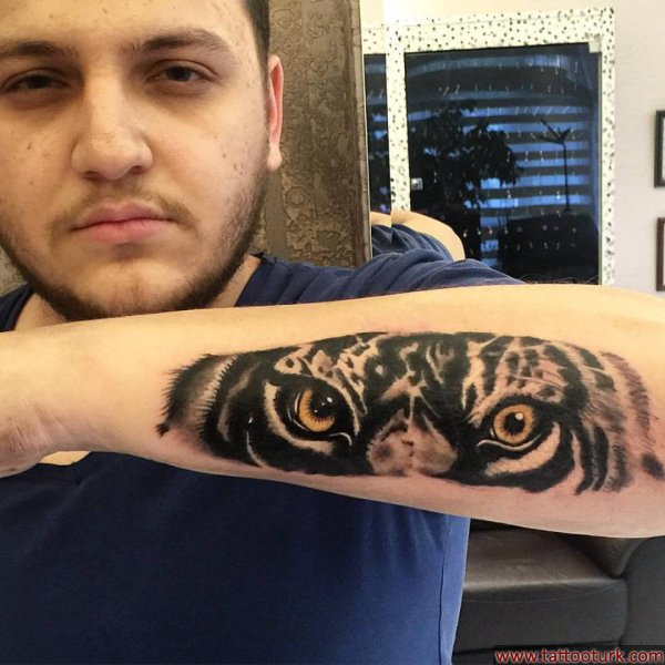 tiger kaplan tattoos dövmesi onur yücel