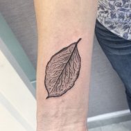 yaprak dövmesi tattoo dövme