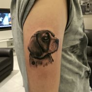 portre köpek beagle tattoo dövme ankara