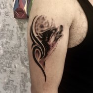 kurt dövmesi kurt dövmesi modelleri wolf tattoo çankaya madline tattoo ankara