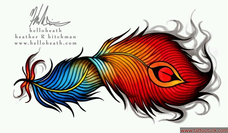 tüy tavuskuşu peacock dövme modelleri dövme desenleri tattoo desing