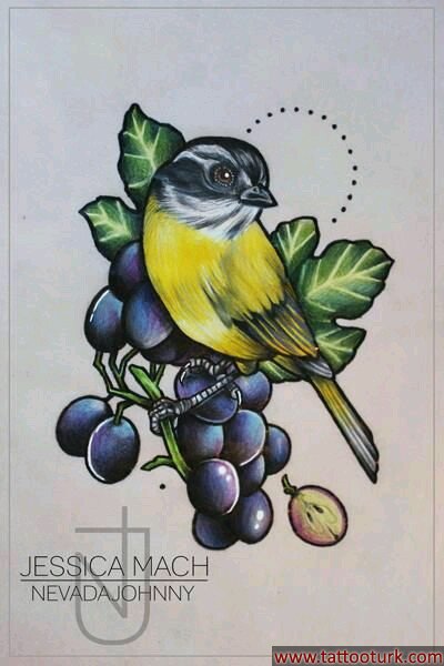 kuş üzüm bird dövme modelleri dövme desenleri tattoo desing