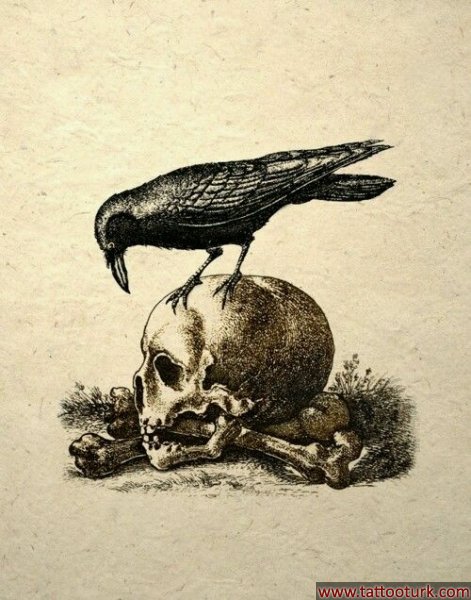 karga ve kuru kafa dövme modelleri dövme desenleri