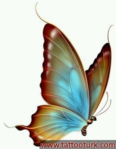 kelebek butterfly dövme modelleri dövme desenleri tattoo desing
