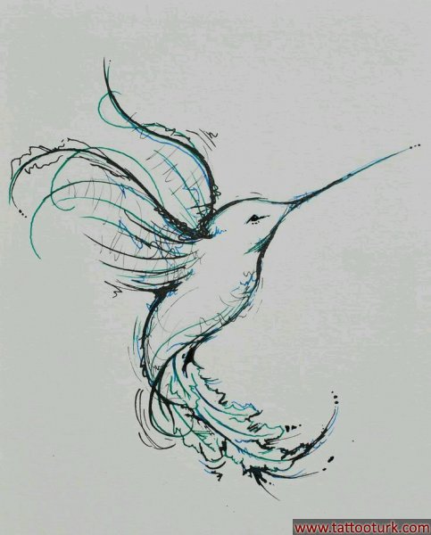 kuş arı kuşu humming bird dövme modelleri dövme desenleri tattoo desing