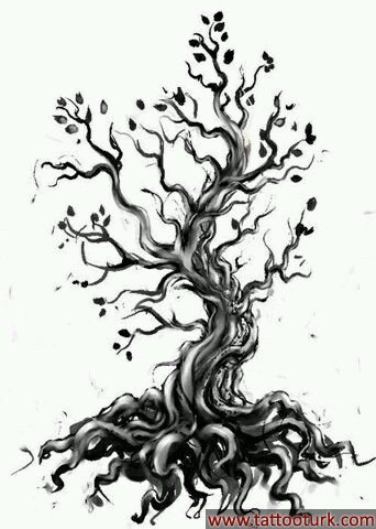 ağaç tree dövme modelleri dövme desenleri tattoo desing