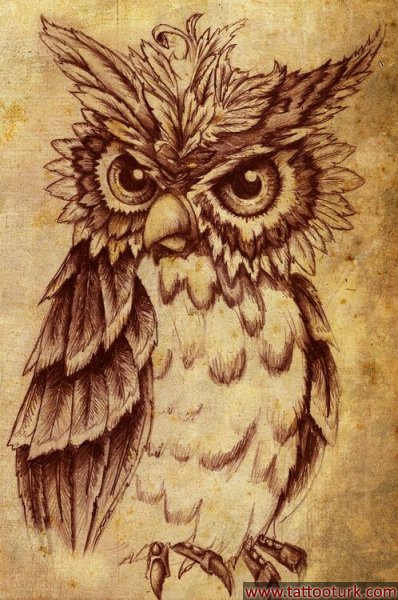 Baykuş owl birds dövme modelleri dövme desenleri tattoo desing