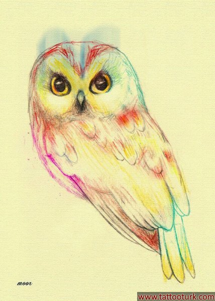 baykuş  dövme modelleri dövme desenleri tattoo desing