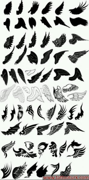 kanatlar dövme modelleri dövme desenleri tattoo desing