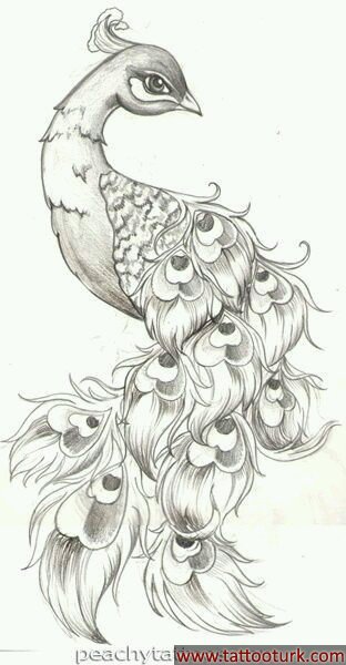 anka kuşu dövme modelleri dövme desenleri tattoo desing