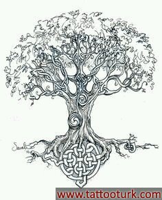ağaç kelt dövme modelleri dövme desenleri tattoo desing
