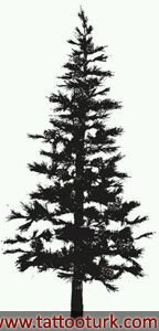 ağaç tree dövme modelleri dövme desenleri tattoo desing