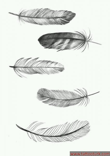 tüy kızılderli dövme modelleri dövme desenleri tattoo desing