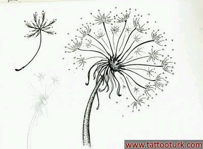 dandelion çiçek kadınlar için dövme modelleri dövme desenleri tattoo desing