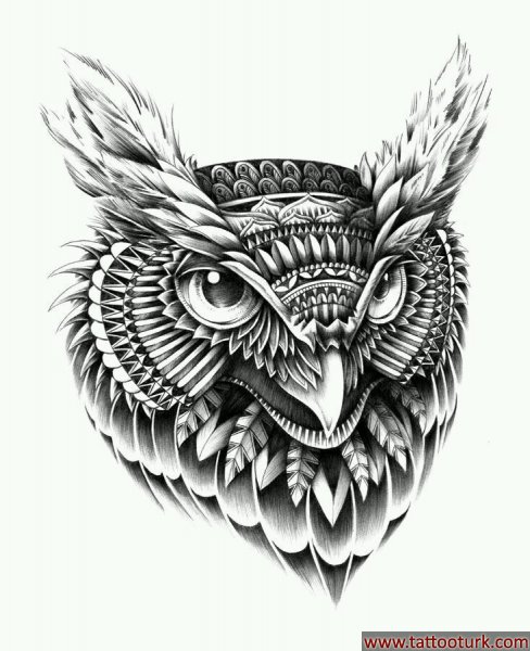 baykuş dövme modelleri dövme desenleri tattoo desing