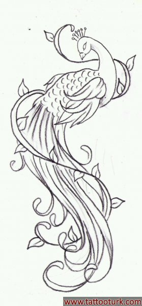 anka kuşu dövme modelleri dövme desenleri tattoo desing