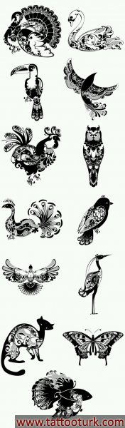 kuşlar kuş bird  dövme modelleri dövme desenleri tattoo desing