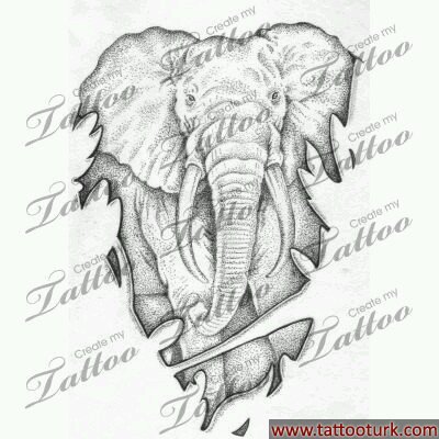 fil elphant dövme modelleri dövme desenleri tattoo desing