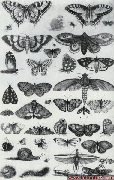 kelebek butterfly dövme modelleri dövme desenleri tattoo desing