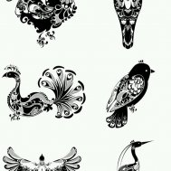 kuşlar kuş bird  dövme modelleri dövme desenleri tattoo desing