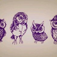 baykuş baykuşlar owl  dövme modelleri dövme desenleri tattoo desing