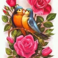 renkli kuş kuşlar çiçekler dövme modelleri dövme desenleri tattoo desing